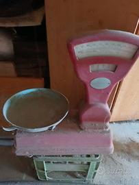 bilancia Bizerba divisione 5 grammi