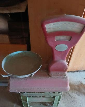 bilancia Bizerba divisione 5 grammi