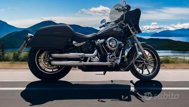 Low Rider Hardin Davidson