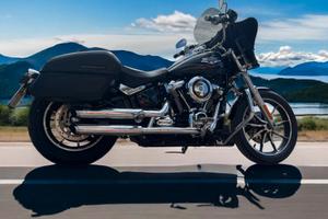 Low Rider Hardin Davidson