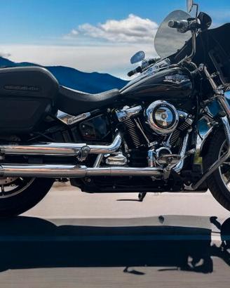 Low Rider Hardin Davidson