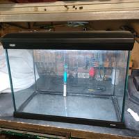 acquario 70l