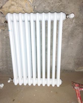 CALORIFERO De Longhi nuovo