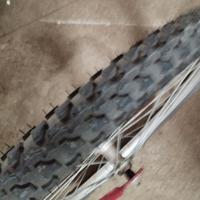 Bici per adulto viper