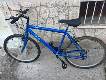Bici baci perugina