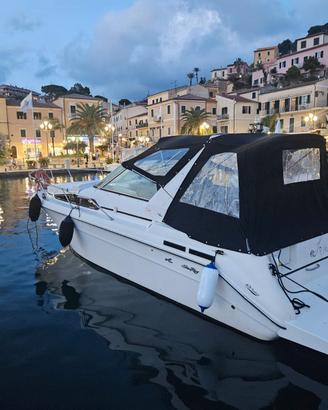 SEA RAY SUNDANCER 290 + 2 X 225 HP MERCRUISER