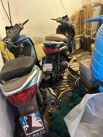 COPPIA di Beverly 250 