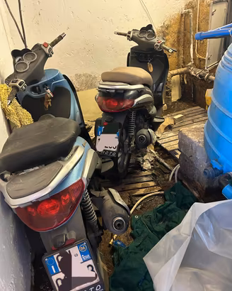 COPPIA di Beverly 250 