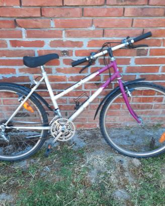 Bicicletta da donna/ragazza