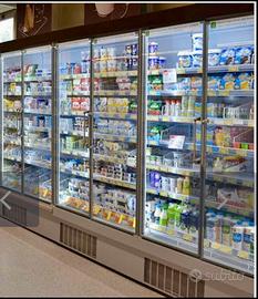 Frigorifero Murale  BRIONI-2 H216 DOORS GI