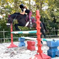 Mezza fida/fida Cavallo