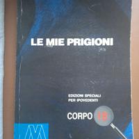 Le mie prigioni, Edizione speciale per ipovedenti