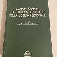 Testo universitario diritto costituzionale