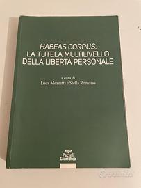 Testo universitario diritto costituzionale