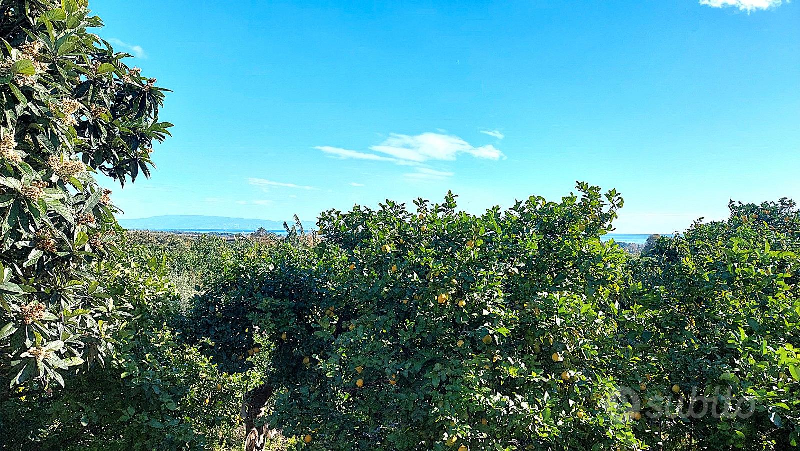 Doppia Unità Immobiliare con giardino di 5000 mq - Vista 2