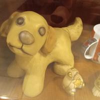 cane labrador thun