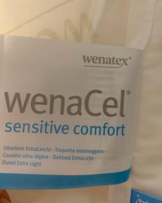 Trapunta leggera matrimoniale 240 x 220  Wenatex