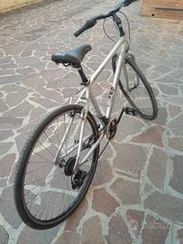 Bicicletta Adriatica