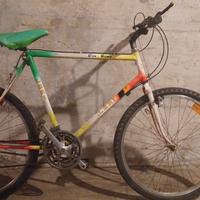 Bici Mountain bike