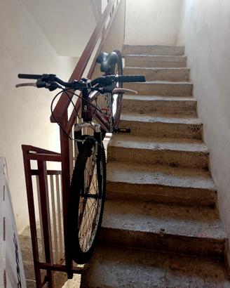 Bicicletta