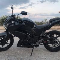 Kawasaki Z300 ABS