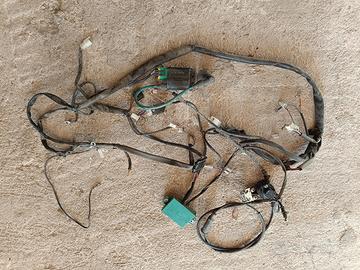 impianto elettrico Malaguti F12 