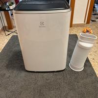 Clima pinguino electrolux portatile