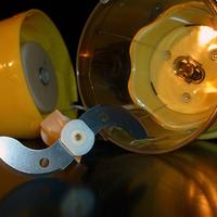 Mini chopper tritatutto Ginyus