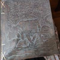 Il libro del bambino