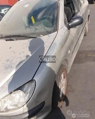 Ricambi per auto Peugeot 206 sw