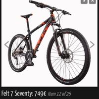 Mountain bike
