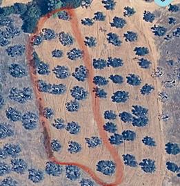 Terreno zona San Francesco Ferrandina