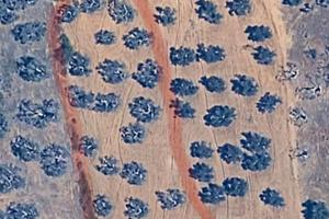 Terreno zona San Francesco Ferrandina