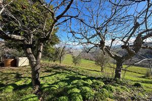 CASA INDIPENDENTE A CELLINO ATTANASIO