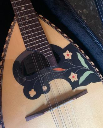 Mandolino Artigianale Siciliano Gaetano Miroglio +