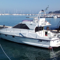 Alfa Marine Bronte 40 Fly