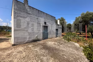 Villa singola Ostuni [Cod. rif 3334664VRG]