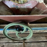 Pigiatrice manuale uva