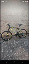 bicicletta mtb