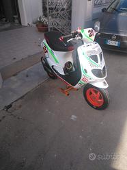 Zip sp malossi 100 /2025