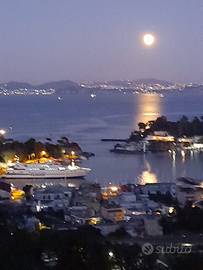 Ischia Porto panoramico per 2/4 persone