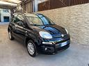 fiat-panda-1-2-benzina-2020