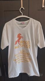 T-shirt addio al celibato "Amico dello sposo"