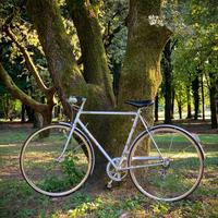 Bici starlet 28 con cambio  Gian Robert Padova