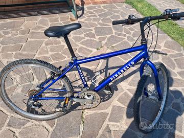 mountain bike Pinarello ragazzo 