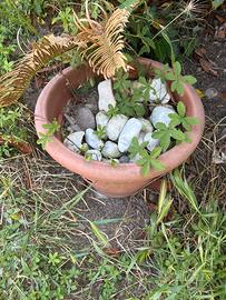 Ciottoli da giardinaggio