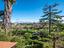 Immagine 13