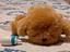 Immagine 1