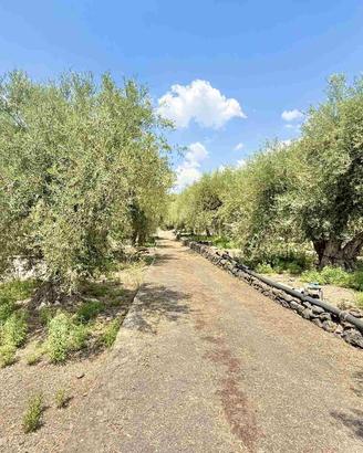 Rif.GL387- terreno agricolo santa maria di licodi