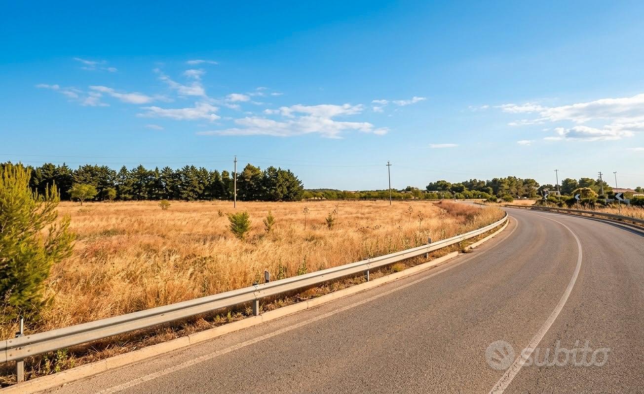 16.000 metri di terra zona Altamura-pescariello - Vista 4
